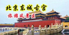 骚女人性插黄色网站中国北京-东城古宫旅游风景区